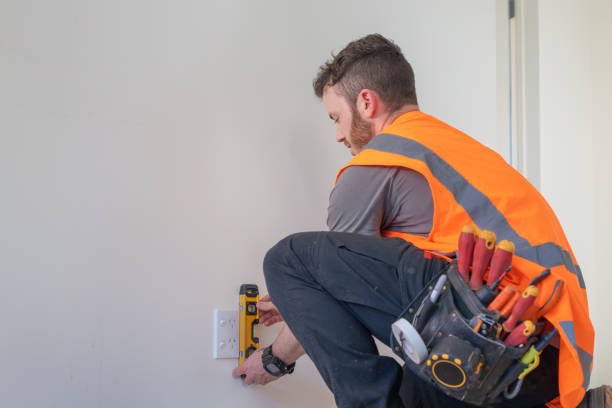 Best Electric Panel Repair  in Mitchell, IL